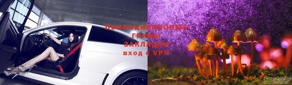 метадон Заводоуковск