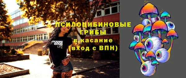 метадон Заводоуковск