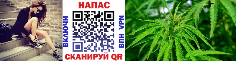 Купить закладки  Кашира  Бошки марихуана VHQ 